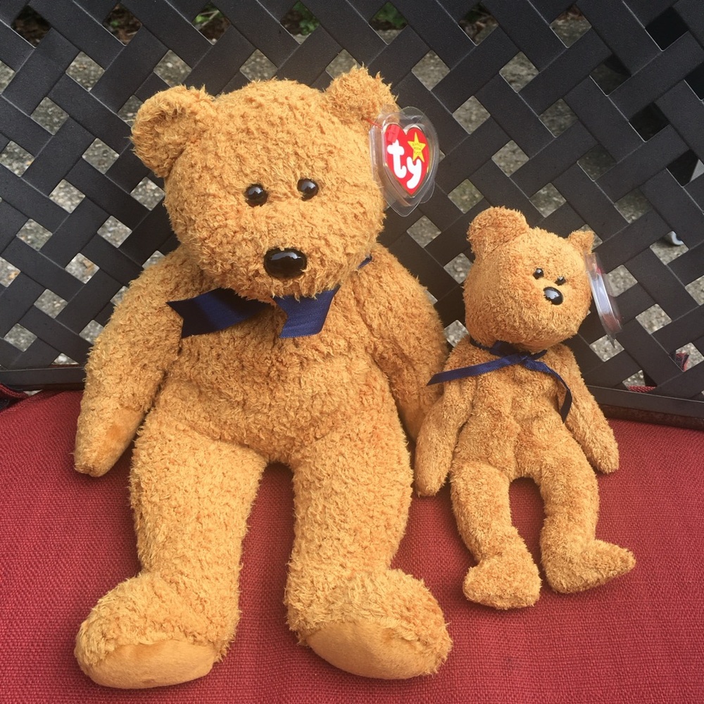TY beanie/buddy set Fuzz the bear